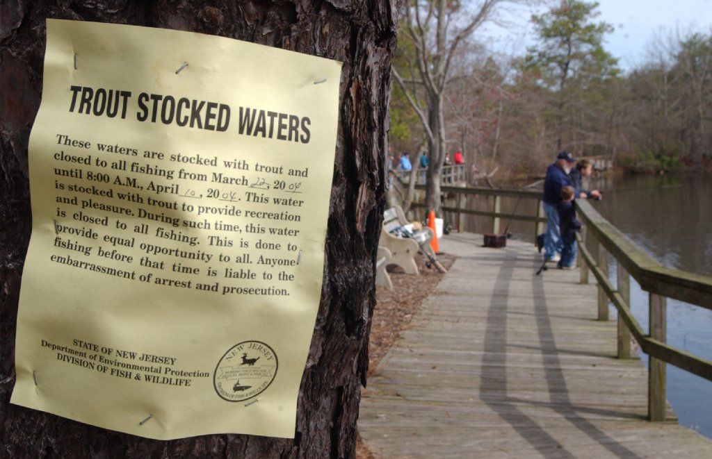 Trout season 2004